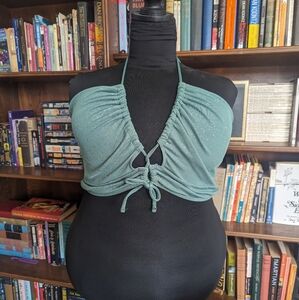 Sparkly Tie Front Bikini Top 3xl